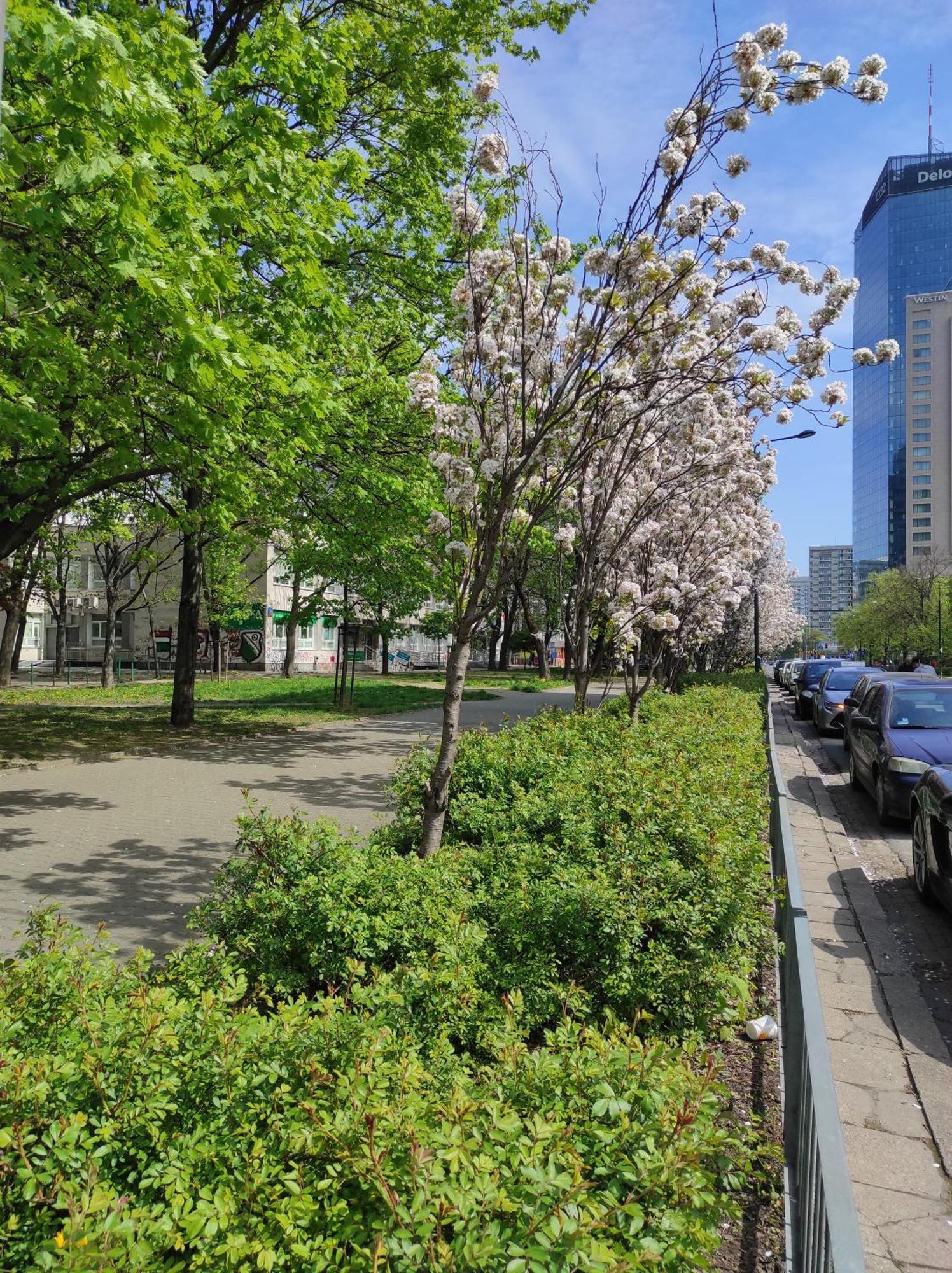 Bosa Warsaw Centrum Apartment Grzybowska39 Dış mekan fotoğraf